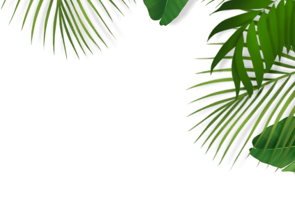 banner two