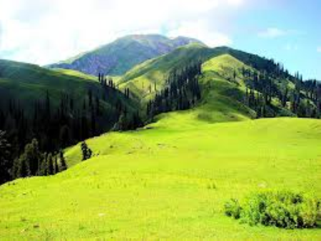 Shogran